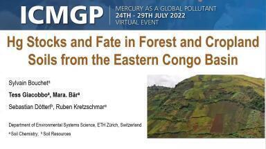 Hg Stocks and Fate in Forest and Cropland Soils from the Eastern Congo Basin